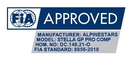 Комбінезон Alpinestars GP Pro Comp Stella v2 940250SW фото