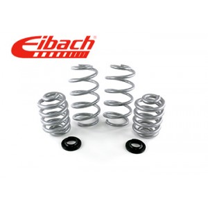 Комплект пружин Eibach Pro-Lift-Kit E21HOET5T6