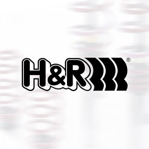 H&R Sportfedernsatz 296871-INT